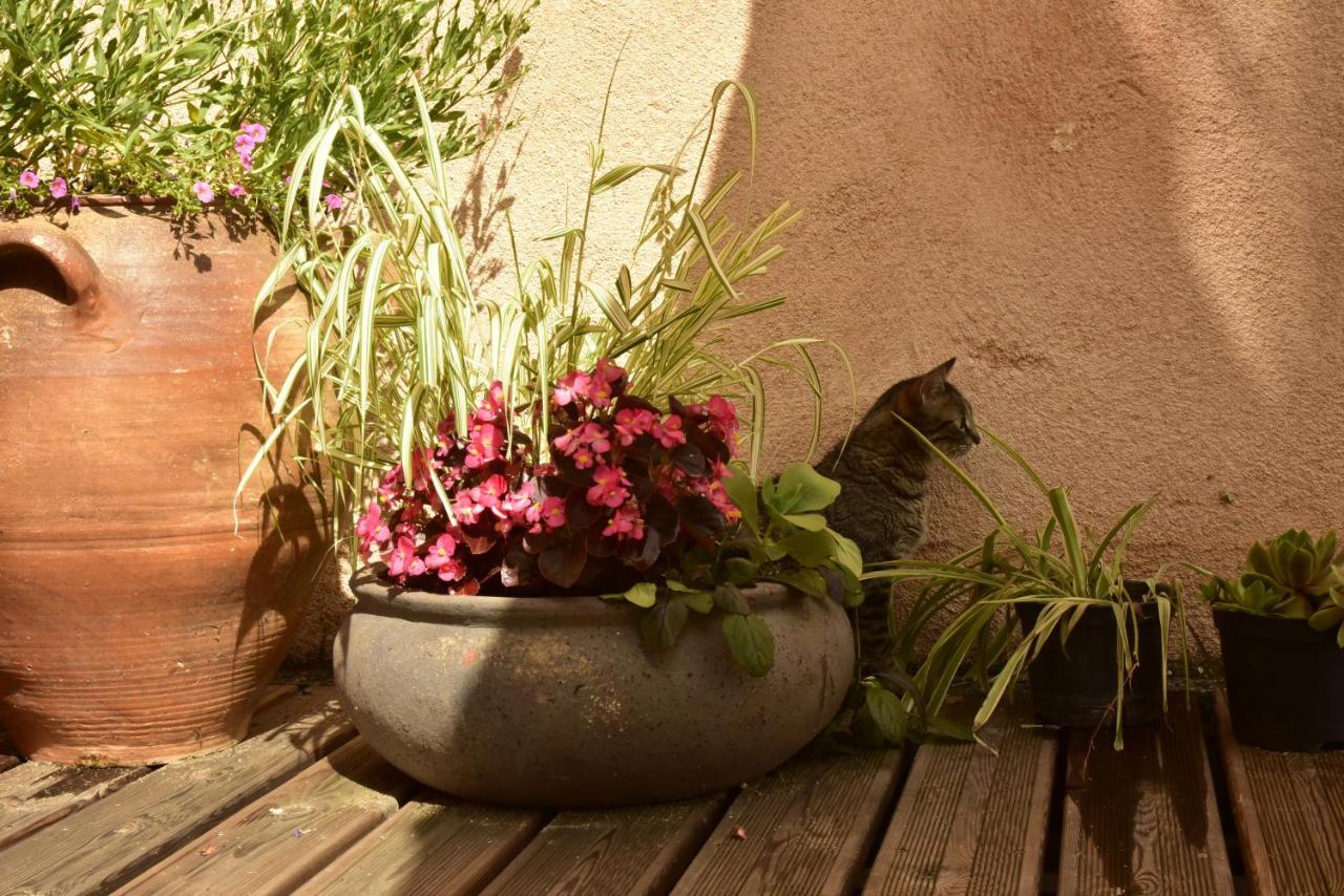 Logis Hotel Le Boudoir Belvès Екстериор снимка